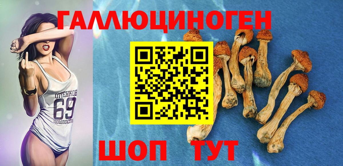 Галлюциногенные грибы ЛСД  Вход с VPN  Курган 