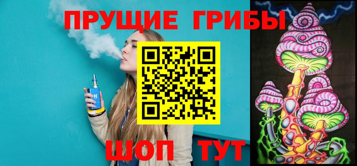 Галлюциногенные грибы Psilocybine cubensis Курган